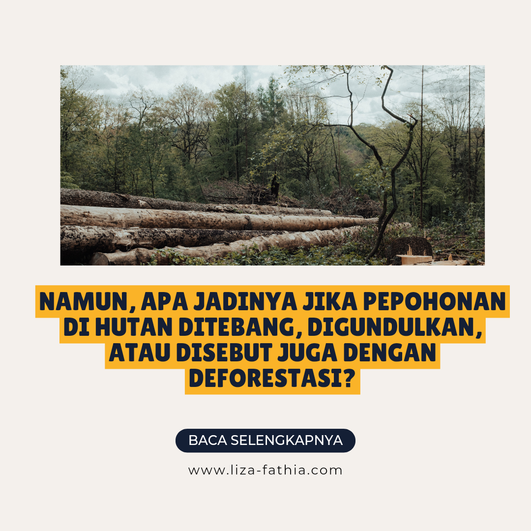 Ternyata Ini Lho Dampak Deforestasi Terhadap Kesehatan